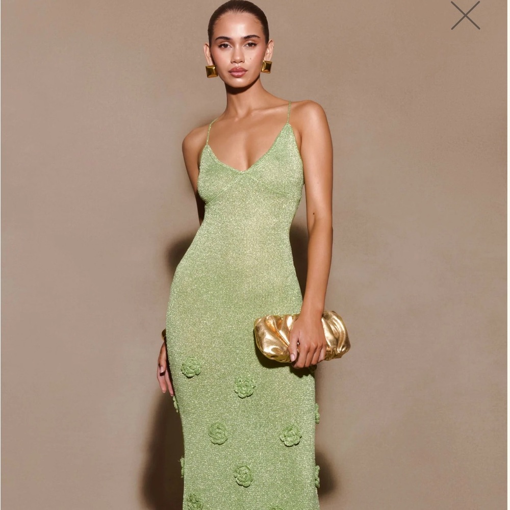 NWT GREEN FLORAL MESHKI DRESS